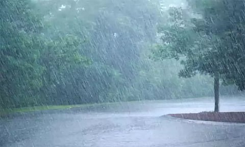 அந்தியூர் அடுத்த பர்கூர் மலைப்பகுதியில் விடிய விடிய கொட்டிய மழை