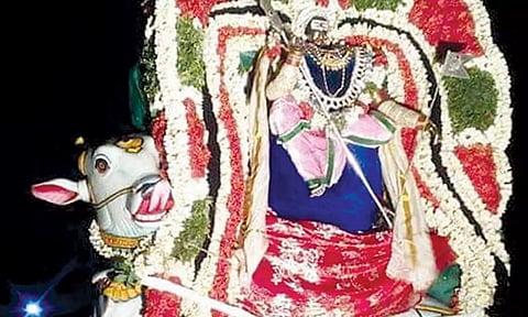 காமதேனு வாகனத்தில் முருகன் வீதி உலா நடைபெற்றது.