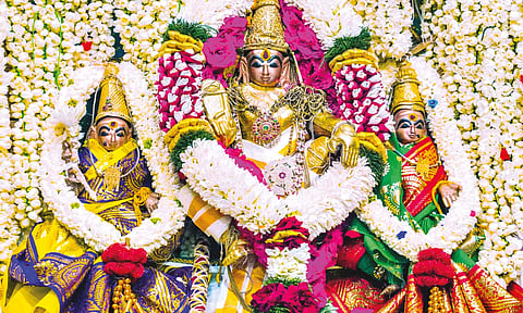 சிறப்பு அலங்காரத்தில் பூரண, புஷ்கலை, சேவுகபெருமாள் அய்யனார் பக்தர்களுக்கு அருள்பாலித்த காட்சி.