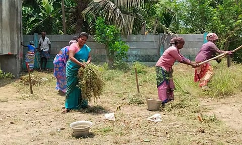 அண்டர்காடு அரசு உதவிபெறும் பள்ளியில் தொழிலாளர்களோடு சேர்ந்து பள்ளி ஆசிரியர் தூய்மை பணியில் ஈடுபட்ட போது எடுத்தபடம்.
