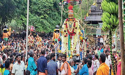 புரவி எடுப்பு திருவிழாவில் கலந்து கொண்ட பக்தர்கள்.
