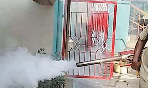 கொசுக்களை ஒழிக்க மருந்து தெளிக்கும் பணி தொடங்கியது