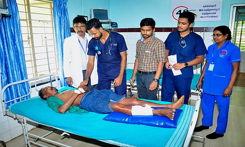 பூதப்பாண்டி அருகே கரடி கடித்து தொழிலாளி படுகாயம்