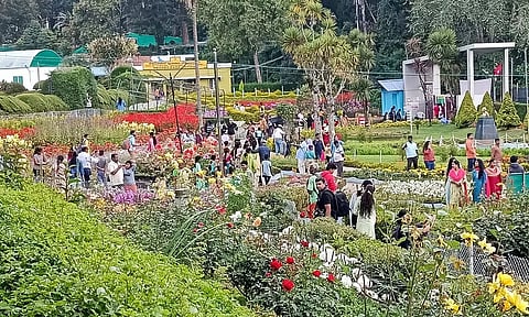 கோடை விழா முடிந்த பின்னரும் கொடைக்கானலில் சுற்றுலா பயணிகள் வருகை அதிகரிப்பு- வியாபாரிகள் மகிழ்ச்சி