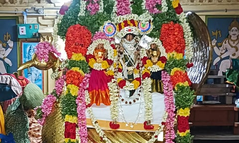 தா.பழூர் விஸ்வநாதர் கோவிலில் வைகாசி விசாக திருவிழா