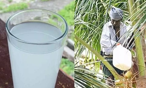 கோப்புபடம். 