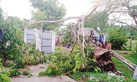ரோட்டில் மரக்கிளைகள் முறிந்து விழுந்ததை படத்தில் காணலாம்.
