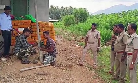 டி.என்.பாளையம் அருகே தோட்டத்துக்குள் புகுந்து ஆட்டுக்குட்டியை கடித்து கொன்ற சிறுத்தை