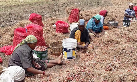 கோப்புபடம்.