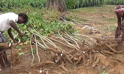 கோப்புபடம்.