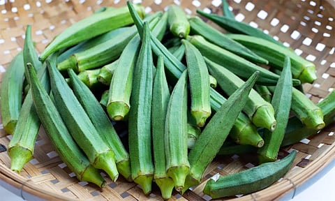 உடலில் உள்ள கெட்ட கொழுப்பை கரைக்கும் வெண்டைக்காய்