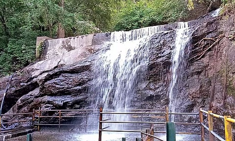 சுருளி அருவியில் இன்று முதல் சுற்றுலா பயணிகளுக்கு அனுமதி வழங்கப்பட்டுள்ள நிலையில் அங்கு தண்ணீர் குறைந்த அளவே வருவதை படத்தில் காணலாம்.