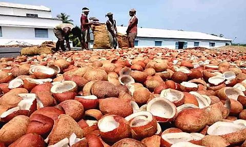 கோப்புபடம்.