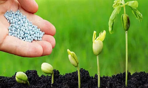 மானிய விலையில் மருந்துகள் வினியோகம்