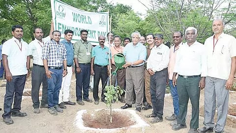 நிகழ்ச்சியில் டி.சி.டபிள்யூ. நிறுவனத்தின் மூத்த செயல் உதவி தலைவர் சீனிவாசன் மரக்கன்று நட்டபோது எடுத்த படம்.