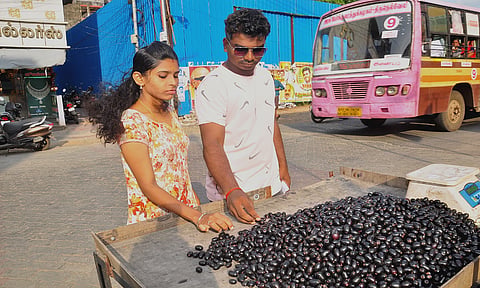 மருத்துவ குணம் நிறைந்த நாவல் பழம்