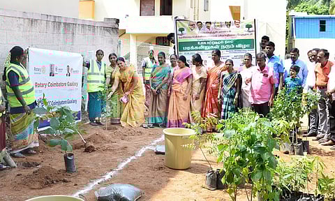 நரசிம்மநாயக்கன்பாளையத்தில் மரக்கன்றுகள் நடும் நிகழ்ச்சி