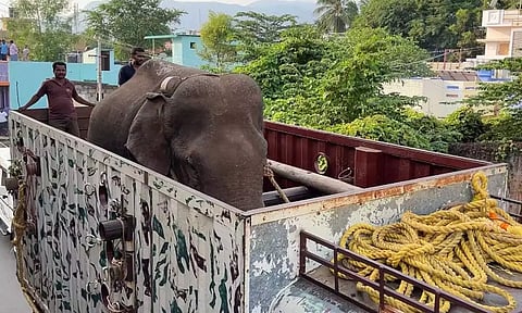 குமரி மாவட்ட வனப்பகுதிக்குள் நுழைய முயன்ற அரிசிக்கொம்பன் யானை