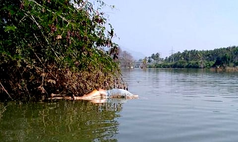 பவானி ஆற்றில் அழுகிய நிலையில் ஆண் உடல்
