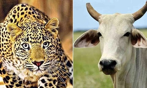 கோப்புபடம்.