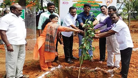 காரிப்பட்டி ஆய்வு மாளிகை வளாகத்தில் நடைபெற்ற மரக்கன்றுகள் நடும் விழா