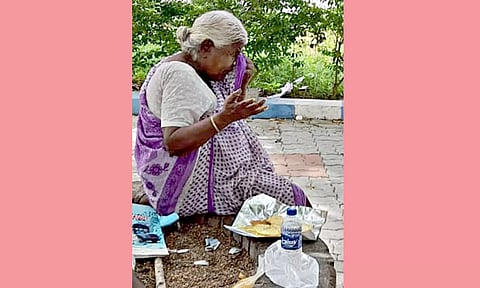 கலெக்டர் அலுவலகத்தில் தஞ்சமடைந்த மூதாட்டி