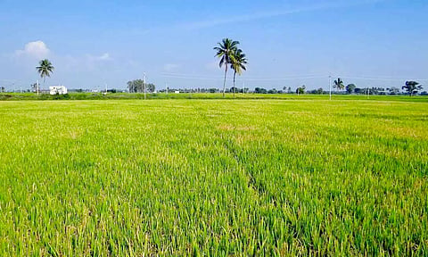 வேளாண் அடுக்கு திட்டத்தில் பயன்பெற ஆன்லைன் மூலம் விபரங்களை பதிவு செய்ய வேண்டும்