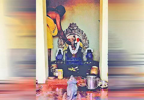 கோவில்பட்டி விநாயகர் கோவிலில் சங்கடஹர சதுர்த்தி பூஜை