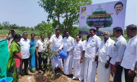 சாலையோரம் மரக்கன்றுகள் நடப்பட்டது.