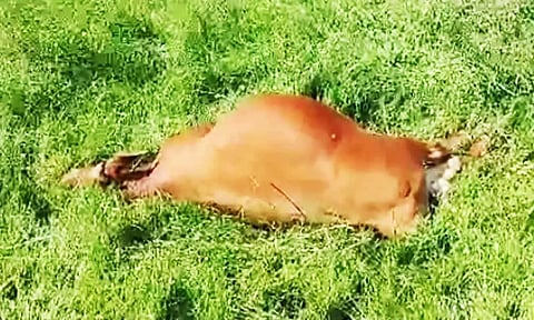 கோப்புப்படம்