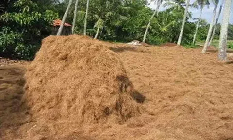 கோப்புபடம்.
