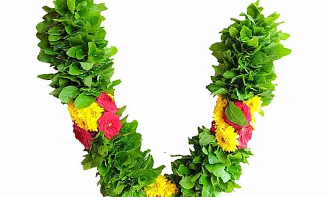 பெற்றோர் படத்துக்கு துளசி மாலை