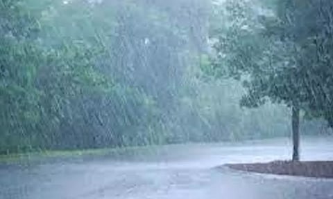 குஜராத்தில் பலத்த காற்றுடன் மழை தொடங்கியது: மரங்கள் சரிந்தன- போக்குவரத்து நிறுத்தம்