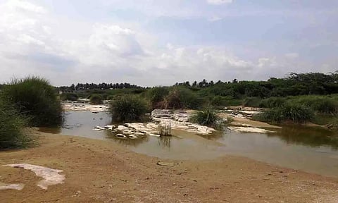 கோப்புபடம்.