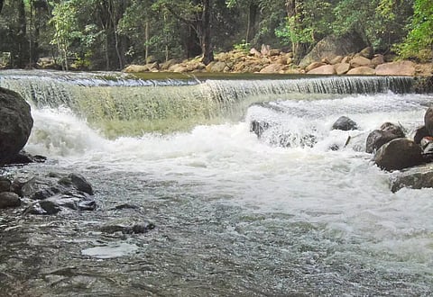 பராமரிப்பு பணிகளுக்காக களக்காடு தலையணை மூடல்-வனத்துறை அறிவிப்பு