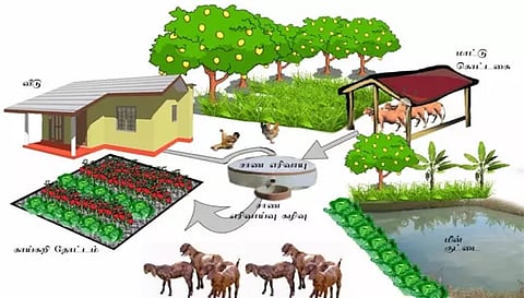 கபிலர்மலை வட்டார விவசாயிகளுக்கு ஒருங்கிணைந்த பண்ணையம் அமைத்திட மானியம்