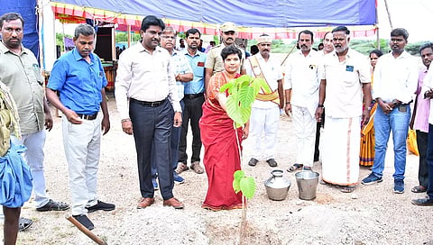 விழாவில் கலெக்டர் ஆஷா அஜீத் மரக்கன்று நடும் திட்டத்தை தொடங்கி வைத்தார்.