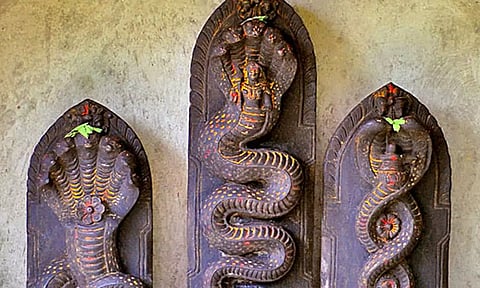 நாக தோஷ பரிகாரத் தலங்கள்