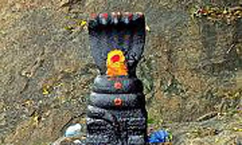 நாகராஜ விரதம்