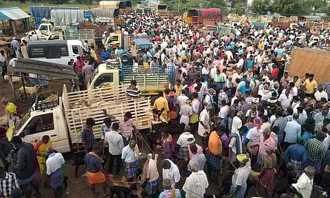 பக்ரீத் பண்டிகையை முன்னிட்டு அய்யலூர் ஆட்டுச்சந்தையில் ரூ.2 கோடிக்கு ஆடுகள் விற்பனை