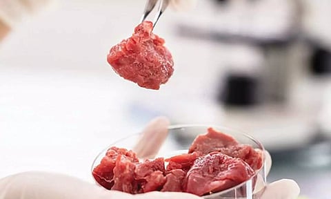 விலங்குகளின் செல்களில் இருந்து உருவாக்கப்படும் செயற்கை இறைச்சிக்கு அமெரிக்காவில் அனுமதி