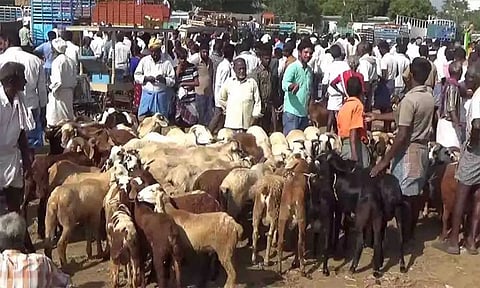 கோப்புபடம்