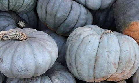 கோப்புபடம்