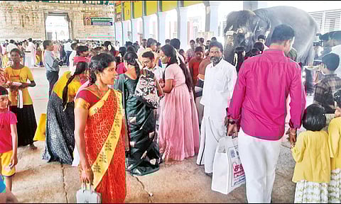 திருக்கடையூர் அமிர்தகடேஸ்வரர் கோவிலுக்கு வந்திருந்த பக்தர்களின் கூட்டத்தை படத்தில் காணலாம்.