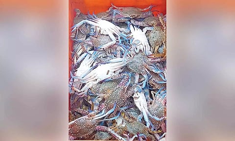 மீனவர்கள் வலையில் சிக்கிய நண்டுகள்.