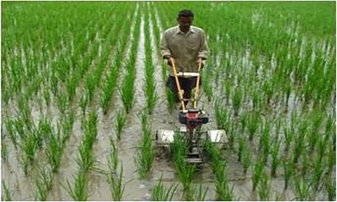 விவசாயிகளுக்கு மானிய விலையில் களை எடுக்கும் கருவிகள்