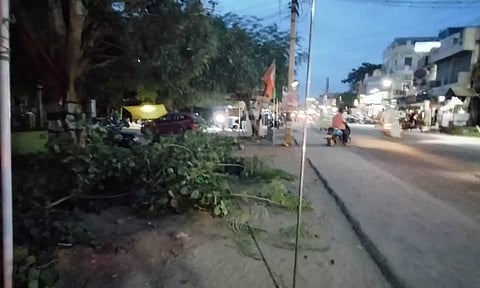 சாலை அருகே வெட்டப்பட்டுள்ள மரக்கிளைகள்.