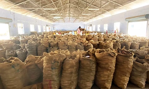 ஏலத்திற்கு கொண்டு வரப்பட்ட தேங்காய் பருப்புகள்
