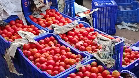 சென்னையில் தினமும் ரேஷன் கடைகளில் 5 ஆயிரம் கிலோ தக்காளி மட்டும் விற்பனை