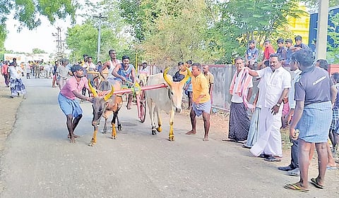 மாட்டுவண்டி பந்தயத்தை யூனியன் சேர்மன் முனியசக்தி ராமச்சந்திரன் கொடியசைத்து தொடங்கி வைத்த காட்சி.